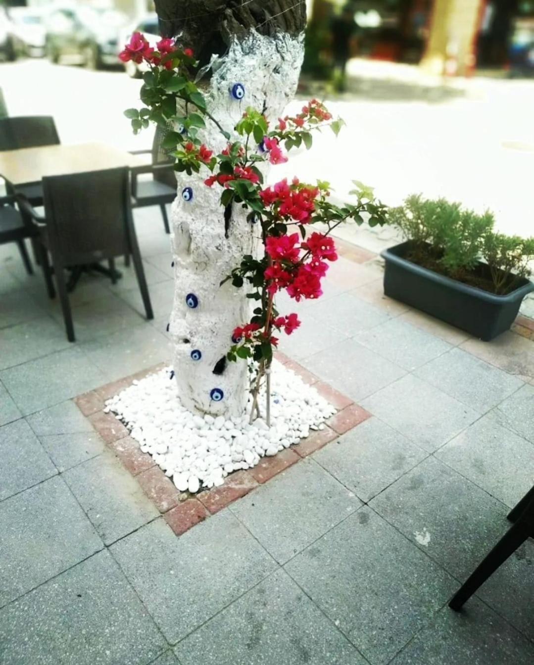 Hotel Punta Vista İzmir